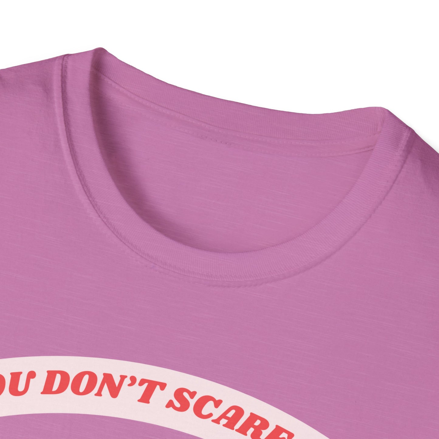 Funny 6th Grade Teacher T-Shirt, Unisex Tee, Softstyle Shirt, Gift for Teacher, School Tshirt, Don't Scare Me, Teacher Appreciation, Teacher