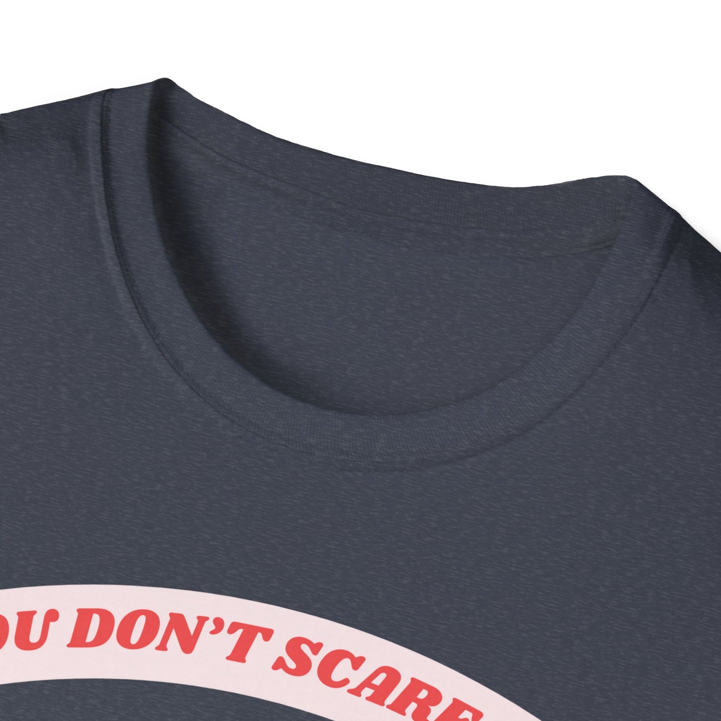 Funny 6th Grade Teacher T-Shirt, Unisex Tee, Softstyle Shirt, Gift for Teacher, School Tshirt, Don't Scare Me, Teacher Appreciation, Teacher