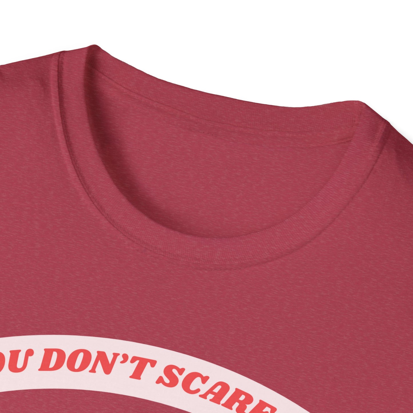 Funny 6th Grade Teacher T-Shirt, Unisex Tee, Softstyle Shirt, Gift for Teacher, School Tshirt, Don't Scare Me, Teacher Appreciation, Teacher